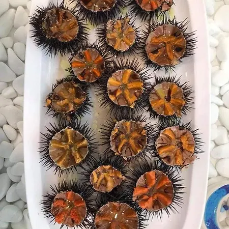 Maison d'hôtes Remezzo